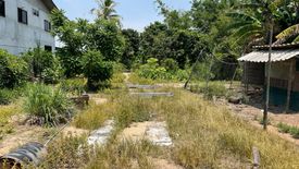 Land for sale in San Sai, Chiang Mai