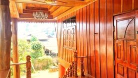 3 Bedroom House for sale in Than Thong, Chiang Rai