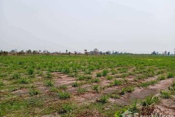 Land for sale in Nong Krathum, Suphan Buri