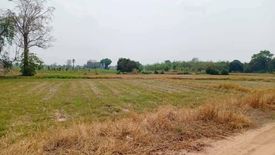 Land for sale in Nong Krathum, Suphan Buri