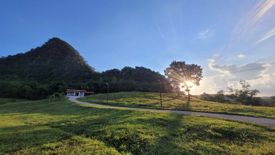 Land for sale in Khao Luang, Loei