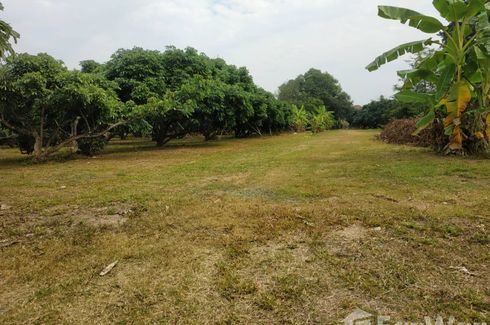 Land for sale in Rop Wiang, Chiang Rai