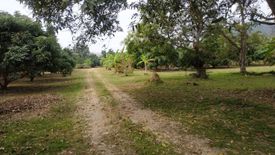 Land for sale in Rop Wiang, Chiang Rai