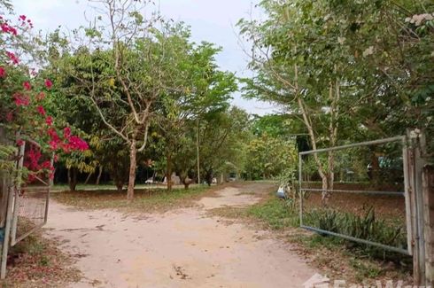 Land for sale in Na Di, Prachin Buri