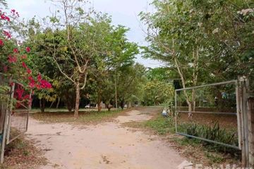 Land for sale in Na Di, Prachin Buri