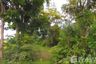 Land for sale in Den Yai, Chainat