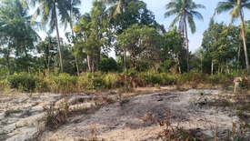 Land for sale in Ko Pha-ngan, Surat Thani