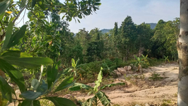 Land for sale in Ko Pha-ngan, Surat Thani