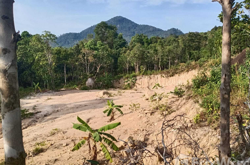 Land for sale in Ko Pha-ngan, Surat Thani