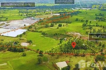 Land for sale in Nong Phue, Loei