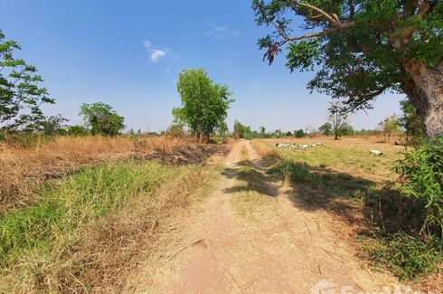 Land for sale in Sung Noen, Nakhon Ratchasima