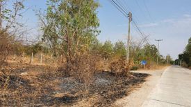 Land for sale in Sung Noen, Nakhon Ratchasima