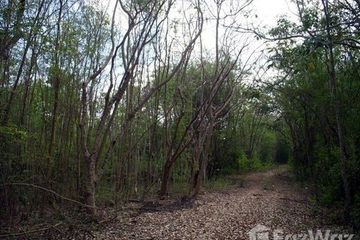 Land for sale in Wat Kaeo, Ratchaburi