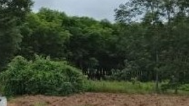 Land for sale in Chiang Klom, Loei