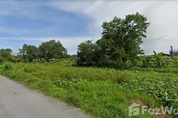 Land for sale in Khlang, Nakhon Si Thammarat