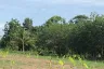 Land for sale in Dom Pradit, Ubon Ratchathani