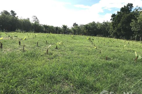 Land for sale in Dom Pradit, Ubon Ratchathani