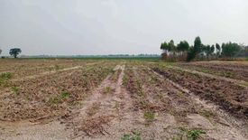 Land for sale in Doem Bang, Suphan Buri