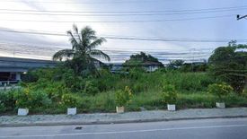 Land for sale in Rusa Milae, Pattani