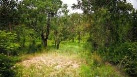 Land for sale in Pho Sai, Ubon Ratchathani