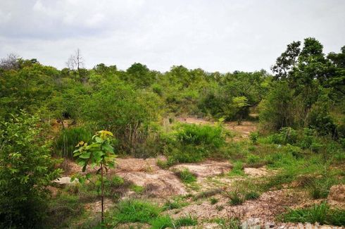 Land for sale in Pho Sai, Ubon Ratchathani