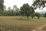 Land for sale in Mae Yao, Chiang Rai