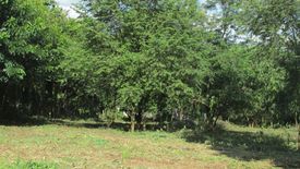 Land for sale in Mae Yao, Chiang Rai