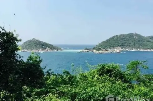 Land for sale in Ko Tao, Surat Thani