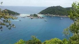 Land for sale in Ko Tao, Surat Thani