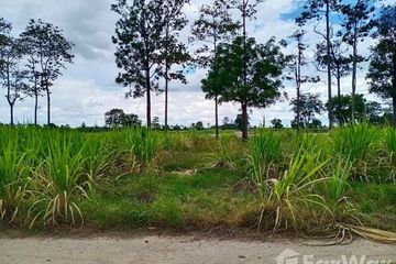 Land for sale in Bo Kru, Suphan Buri