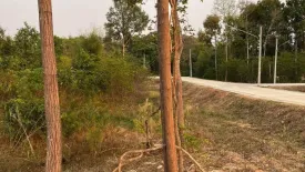 Land for sale in Phibun, Ubon Ratchathani