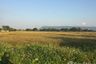 Land for sale in Doi Ngam, Chiang Rai