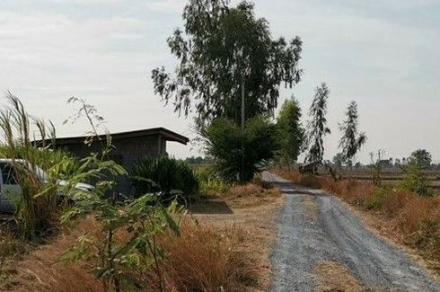 Land for sale in Thale Bok, Suphan Buri