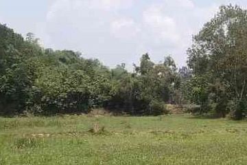 Land for sale in Na Hin Lat, Nakhon Nayok