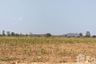 Land for sale in Hua Na, Suphan Buri