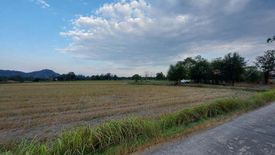 Land for sale in Don Sai, Ratchaburi