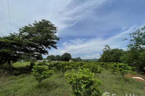 Land for sale in Mu Si, Nakhon Ratchasima