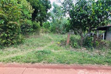 Land for sale in Ban Kho, Nakhon Phanom