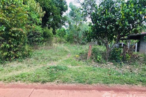 Land for sale in Ban Kho, Nakhon Phanom