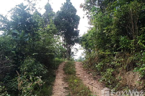 Land for sale in Ko Pha-ngan, Surat Thani