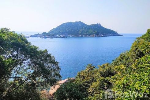 Land for sale in Ko Tao, Surat Thani