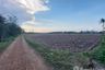 Land for sale in Don Sai, Ratchaburi