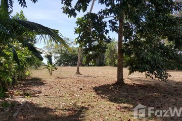 Land for sale in Khao Mai Kaeo, Trang