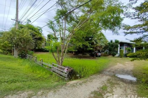 Land for sale in Lat Ya, Kanchanaburi