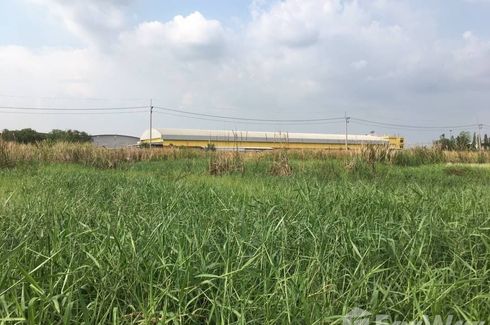 Land for sale in Sisa Krabue, Nakhon Nayok