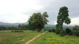 Land for sale in Long Khot, Chiang Mai