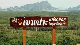 Land for sale in Krasom, Phang Nga