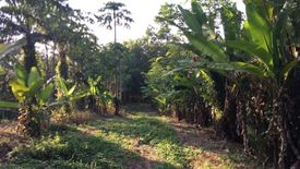 Land for sale in Hat Phan Krai, Chumphon