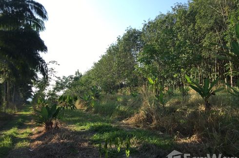 Land for sale in Hat Phan Krai, Chumphon