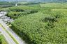 Land for sale in Thai Mueang, Phang Nga